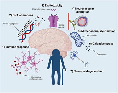 Can Old Animals Reveal New Targets? The Aging and Degenerating Brain as a New Precision Medicine Opportunity for Epilepsy